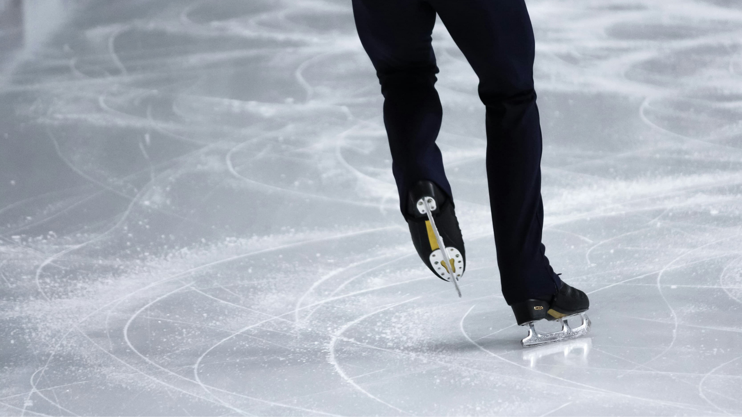 sakamoto-world-champion